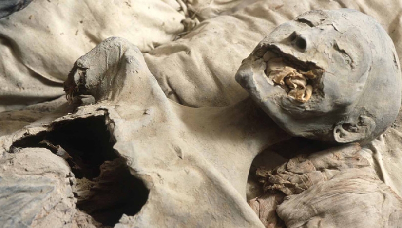 The mysterious fate of Queen Nefertiti: early marriage, plague, intrigue, and the disappearance of The mysterious fate of Queen Nefertiti: early marriage, plague, intrigue, and the disappearance of