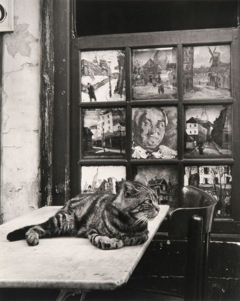 The photographer Izis Bidermanas: "This is not Paris and not old, but just my" The photographer Izis Bidermanas: "This is not Paris and not old, but just my"
