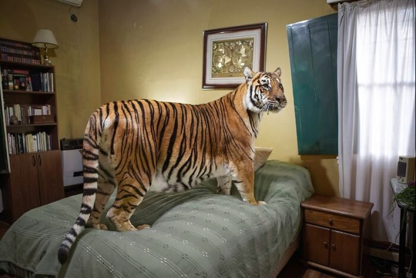 The Power Of Photography: 17 Winning Images Announced By The 1839 Awards 2024 The Power Of Photography: 17 Winning Images Announced By The 1839 Awards 2024