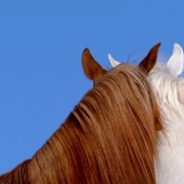 The Power Of Photography: 17 Winning Images Announced By The 1839 Awards 2024