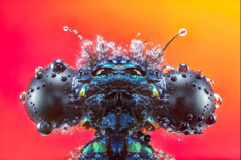 The Power Of Photography: 17 Winning Images Announced By The 1839 Awards 2024 The Power Of Photography: 17 Winning Images Announced By The 1839 Awards 2024