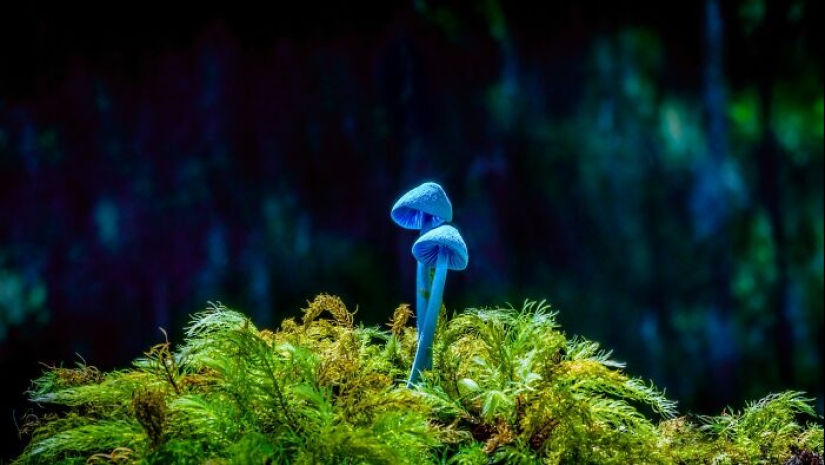 The Power Of Photography: 17 Winning Images Announced By The 1839 Awards 2024 The Power Of Photography: 17 Winning Images Announced By The 1839 Awards 2024