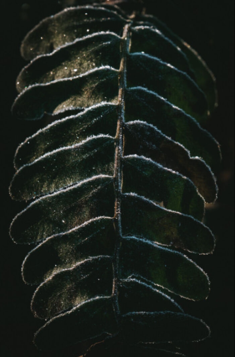 The Power Of Photography: 17 Winning Images Announced By The 1839 Awards 2024 The Power Of Photography: 17 Winning Images Announced By The 1839 Awards 2024