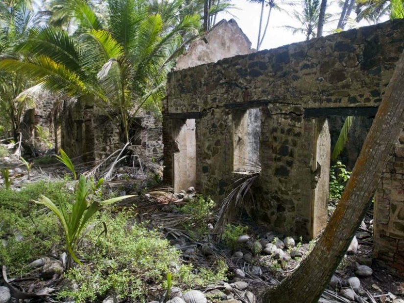 The prison on Devil's island: the ruthless blade "dry guillotine" The prison on Devil's island: the ruthless blade "dry guillotine"