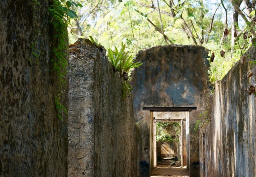 The prison on Devil's island: the ruthless blade "dry guillotine" The prison on Devil's island: the ruthless blade "dry guillotine"