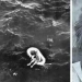 The story of Terry Jo Duperre — 11-year-old girl surviving in the open ocean The story of Terry Jo Duperre — 11-year-old girl surviving in the open ocean