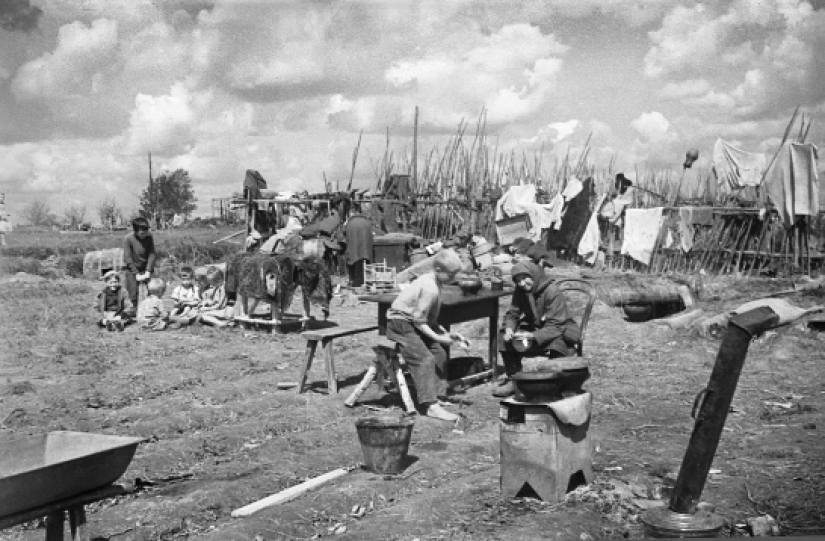 The tragedy of the Belarusian village Drazhna: why Soviet partisans killed its inhabitants The tragedy of the Belarusian village Drazhna: why Soviet partisans killed its inhabitants