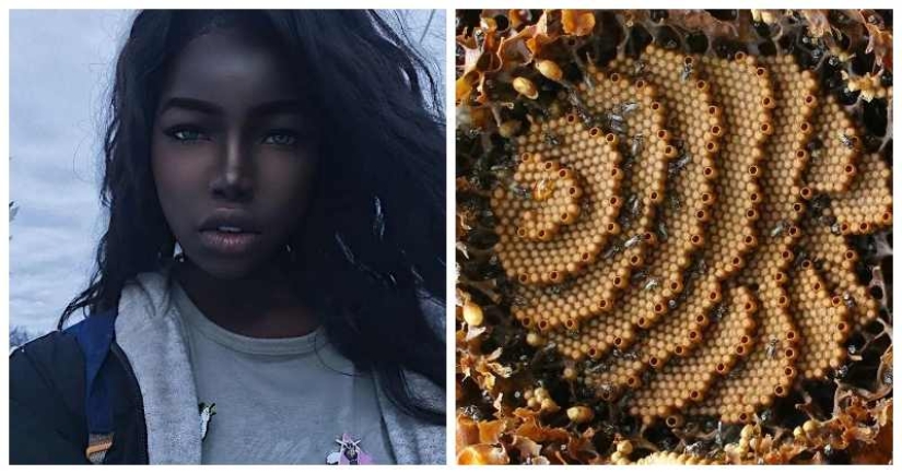 The world is still able to surprise us: 22 photos that won't leave you indifferent