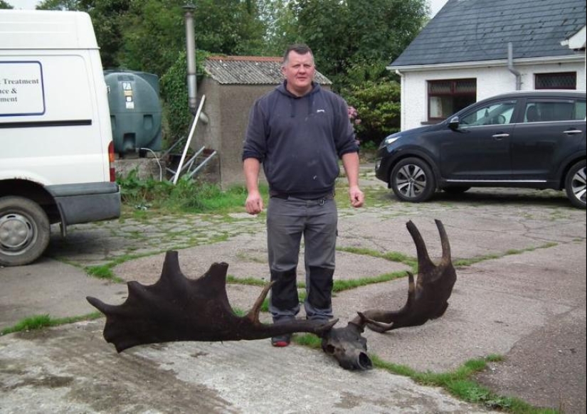 The world is still able to surprise us: 22 photos that won't leave you indifferent