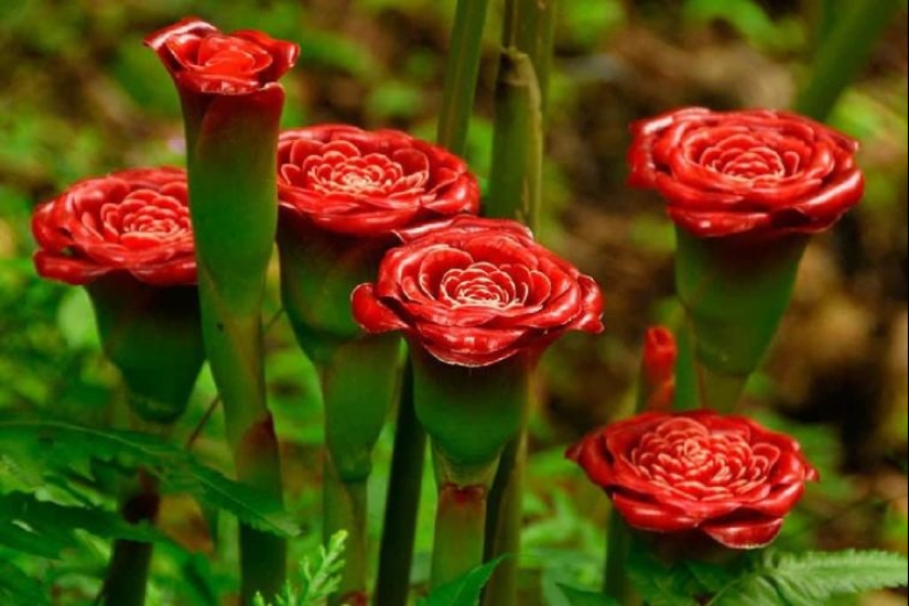 The world is still able to surprise us: 22 photos that won't leave you indifferent