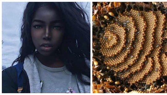 The world is still able to surprise us: 22 photos that won't leave you indifferent The world is still able to surprise us: 22 photos that won't leave you indifferent