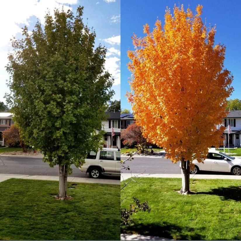 Then and now: 25 photos of comparisons, which will force us to look differently at familiar things Then and now: 25 photos of comparisons, which will force us to look differently at familiar things