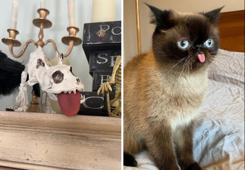 These 10 Hilarious Amazon Products Are For People With A Wild Sense Of Humour