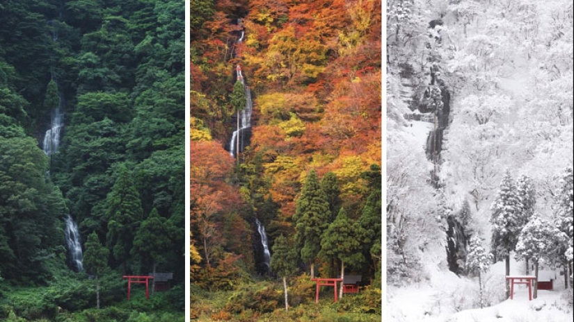 These 11 Comparisons Reveal The Unexpected Diversities Of Life These 11 Comparisons Reveal The Unexpected Diversities Of Life