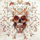 This Artist Brings A Fresh, Modern Twist To The Timeless Skull Symbol This Artist Brings A Fresh, Modern Twist To The Timeless Skull Symbol