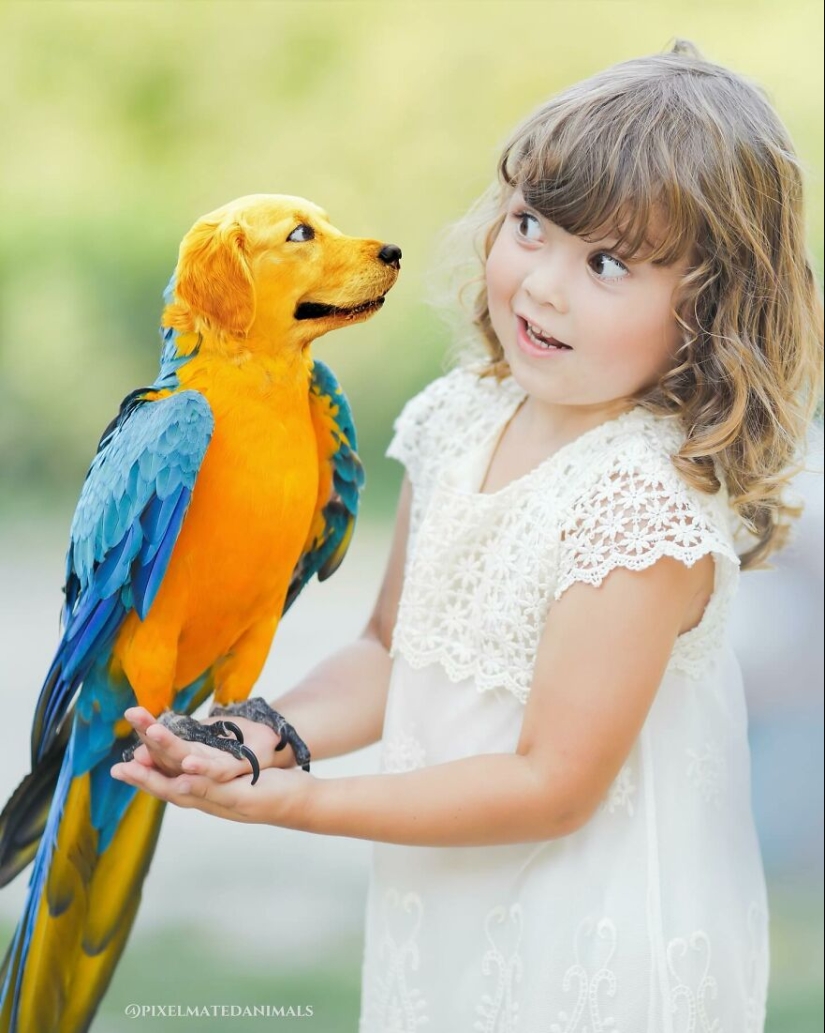 This Artist Creates Animals That Don’t Exist By Fusing Two Together