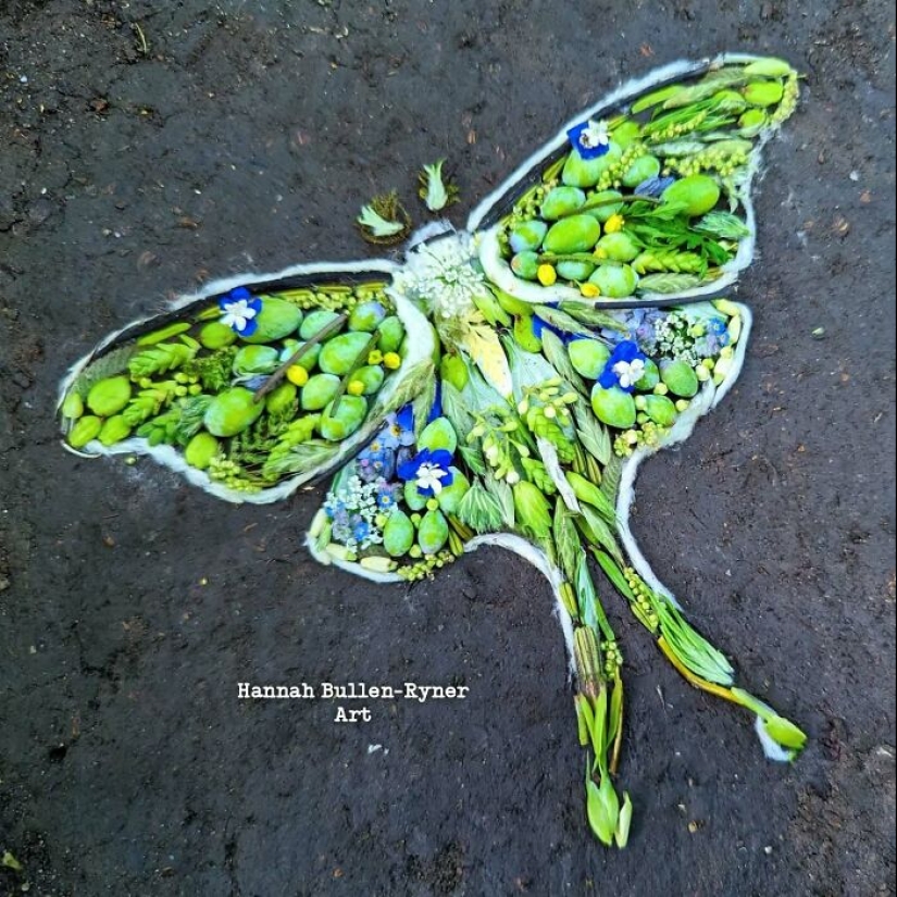 This Artist Works In Nature And Uses Only The Materials Available To Create Beautiful Artwork This Artist Works In Nature And Uses Only The Materials Available To Create Beautiful Artwork