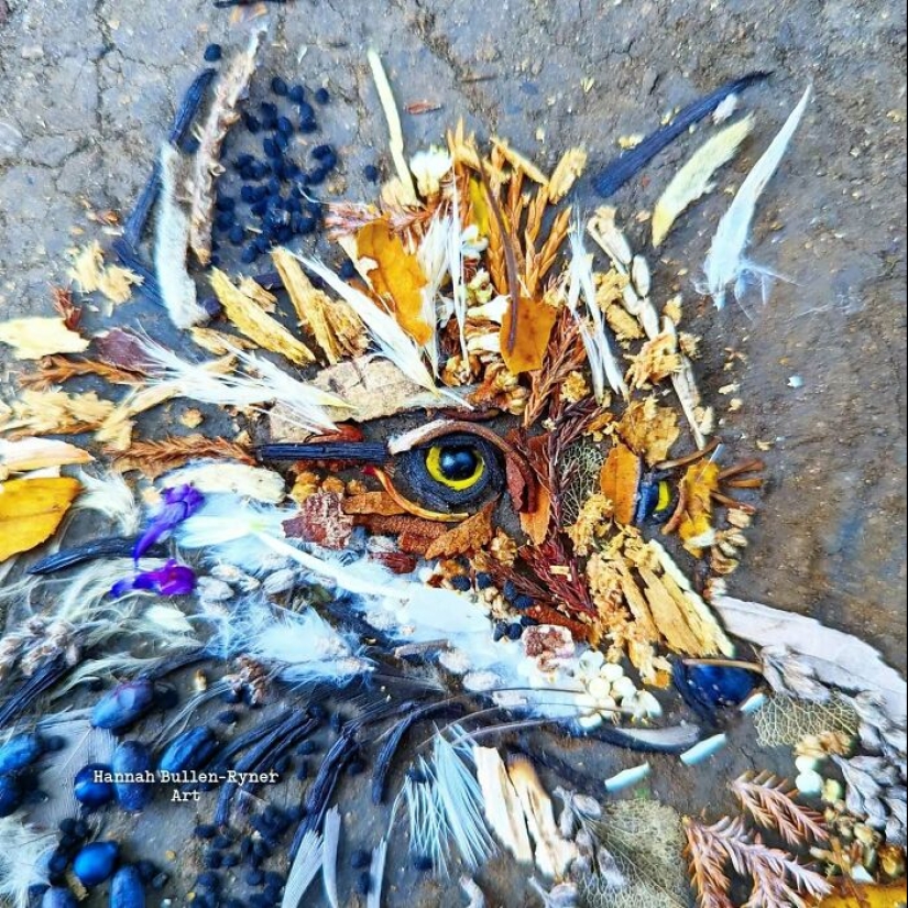 This Artist Works In Nature And Uses Only The Materials Available To Create Beautiful Artwork This Artist Works In Nature And Uses Only The Materials Available To Create Beautiful Artwork