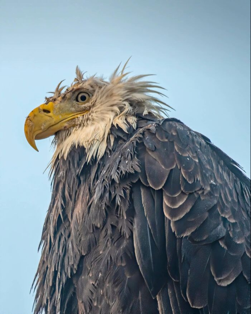This Facebook Group Is Dedicated To Wildlife Photos That Are So Bad They’re Good