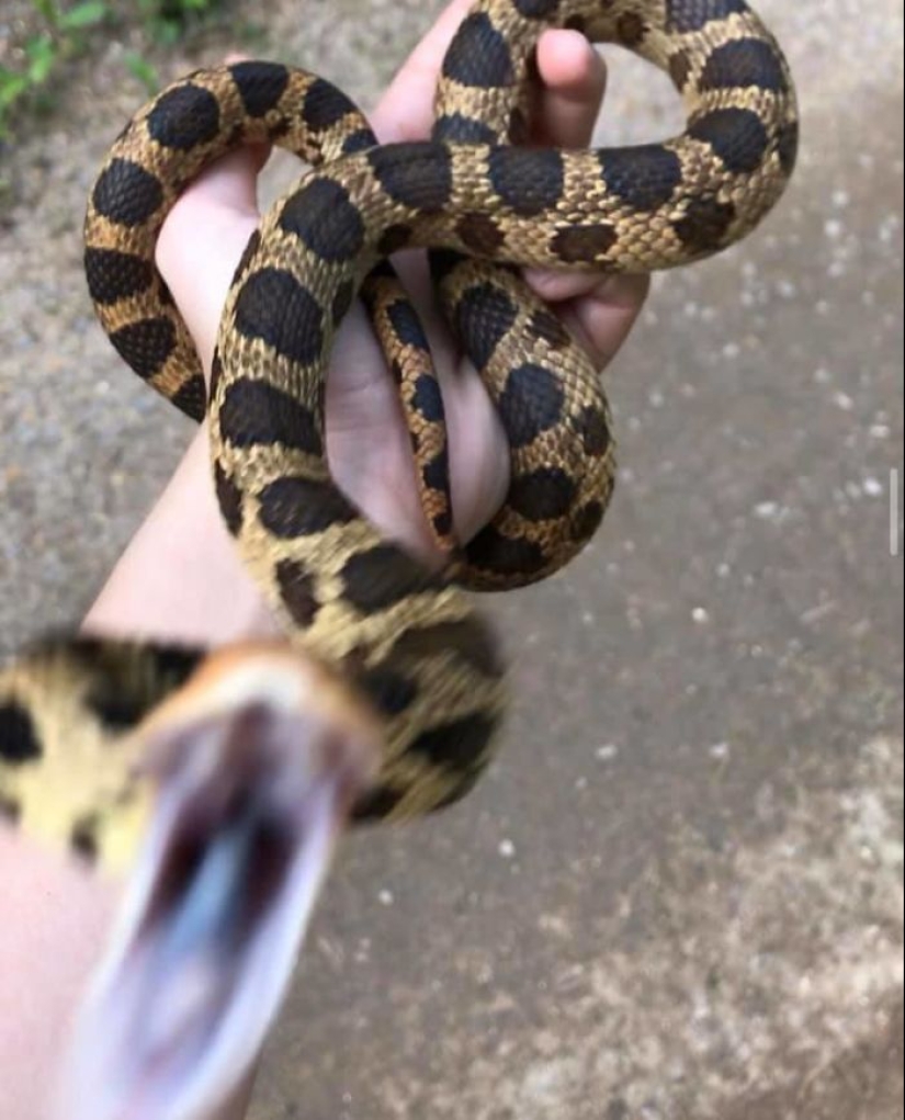 This Facebook Group Is Dedicated To Wildlife Photos That Are So Bad They’re Good