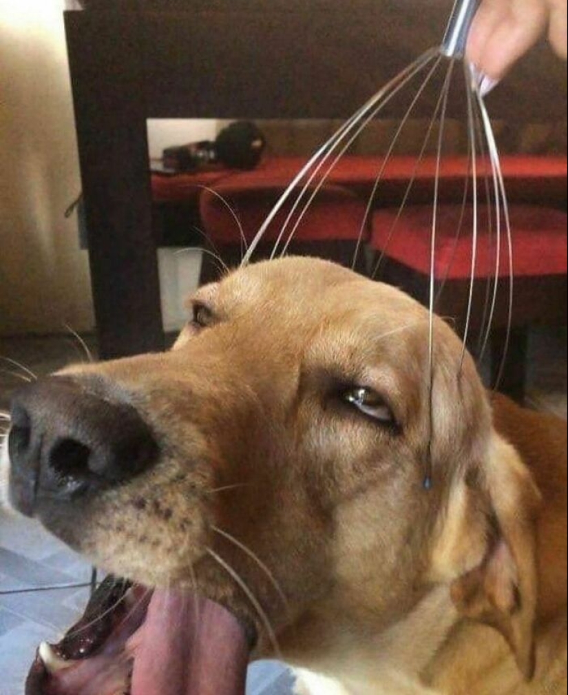 This IG Account Is For “Cursed Pics Only” And Here Are 10 Of The Most Baffling Ones This IG Account Is For “Cursed Pics Only” And Here Are 10 Of The Most Baffling Ones