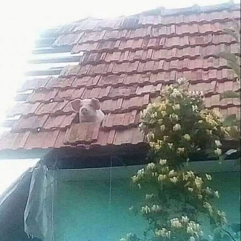 This IG Account Is For “Cursed Pics Only” And Here Are 10 Of The Most Baffling Ones This IG Account Is For “Cursed Pics Only” And Here Are 10 Of The Most Baffling Ones
