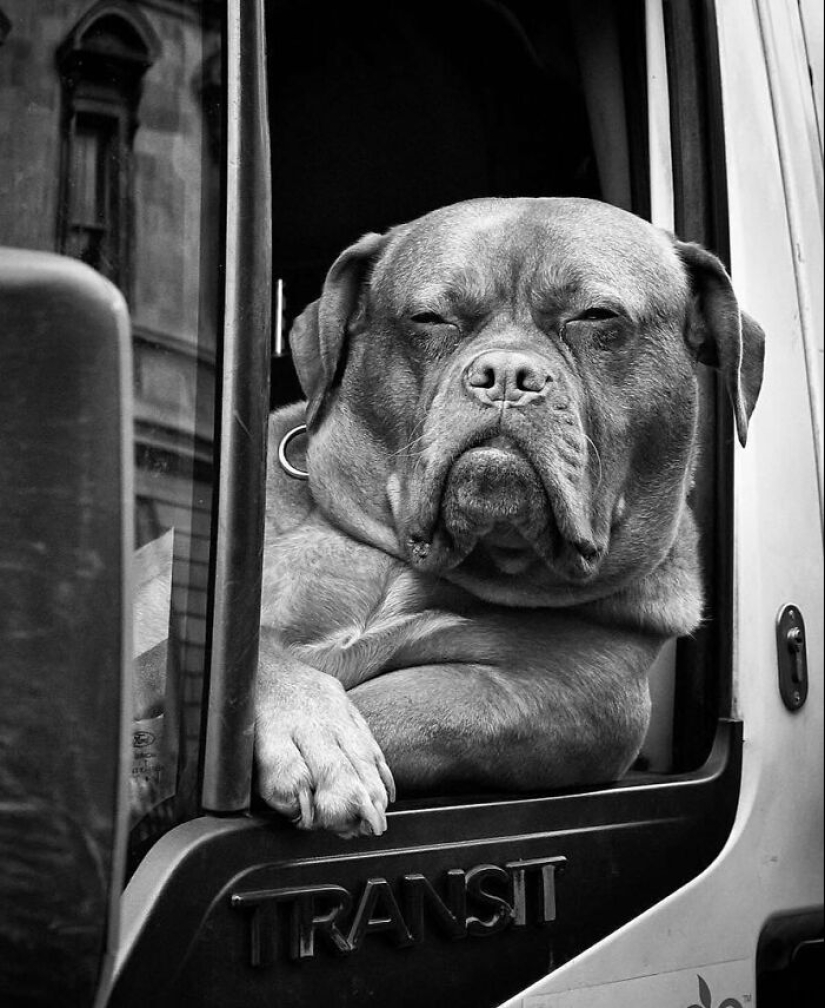 This Instagram Account Features Urban Photographs, And Here Are 12 Of The Best B&W Pics