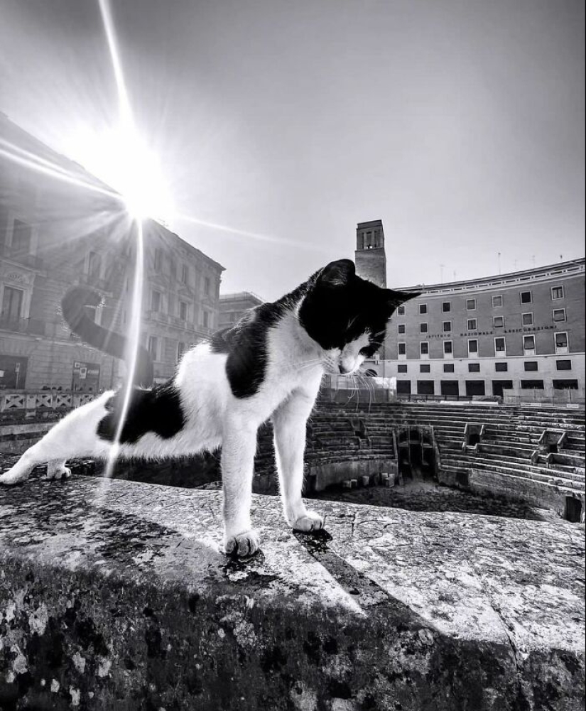 This Instagram Account Features Urban Photographs, And Here Are 12 Of The Best B&W Pics