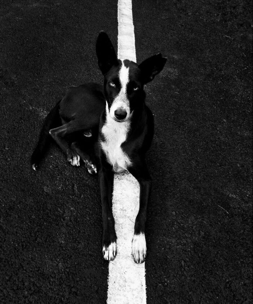 This Instagram Account Features Urban Photographs, And Here Are 12 Of The Best B&W Pics