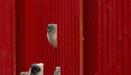 This Page Shares The Most Fascinating Photos, And Here Are The 12 Newest Ones This Page Shares The Most Fascinating Photos, And Here Are The 12 Newest Ones