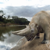This Paleoartist Recreates Prehistoric Fauna: 12 Ancient Creatures For The 2025 Calendar This Paleoartist Recreates Prehistoric Fauna: 12 Ancient Creatures For The 2025 Calendar
