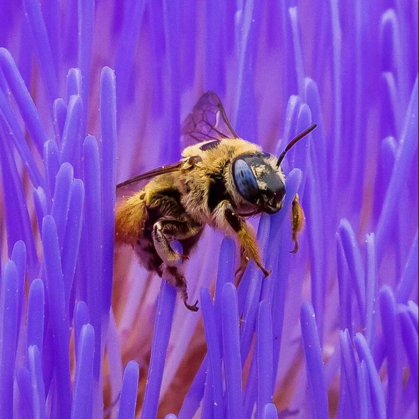 This Photographer Captured 15 Magical Moments, Revealing The Beauty In Everyday Objects