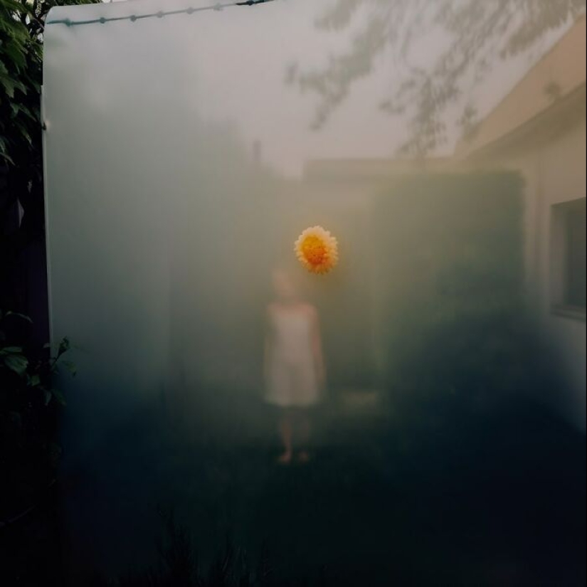 This Photographer Captured 15 Magical Moments, Revealing The Beauty In Everyday Objects