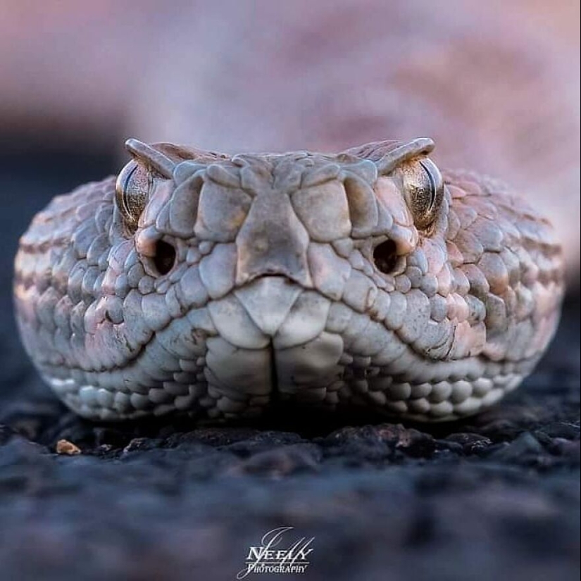 This Photographer Captured 15 Magical Moments, Revealing The Beauty In Everyday Objects
