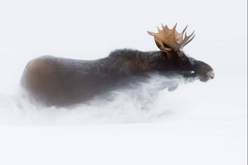 This Photographer Captured 15 Magical Moments, Revealing The Beauty In Everyday Objects