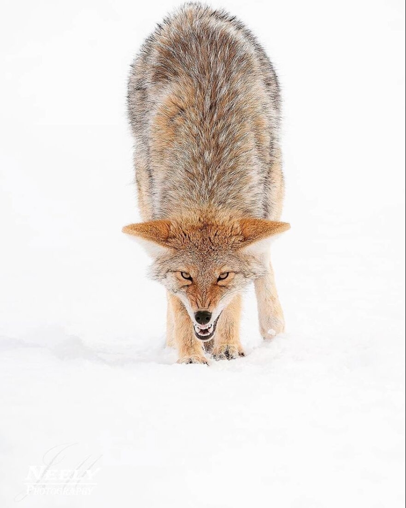This Photographer Captured 15 Magical Moments, Revealing The Beauty In Everyday Objects