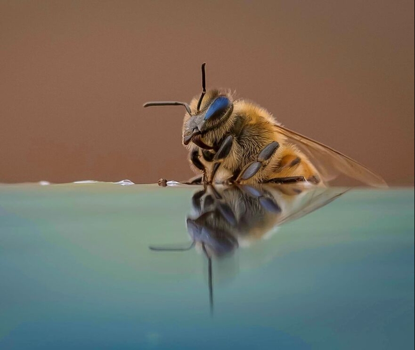 This Photographer Captured 15 Magical Moments, Revealing The Beauty In Everyday Objects