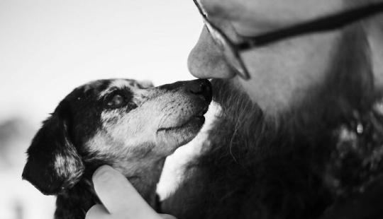 This Photographer Captures People With Their Pets Before They Cross The “Rainbow Bridge” This Photographer Captures People With Their Pets Before They Cross The “Rainbow Bridge”