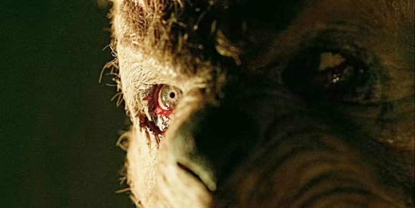 Todas las películas que llegarán a los cines en febrero de 2024 Todas las películas que llegarán a los cines en febrero de 2024