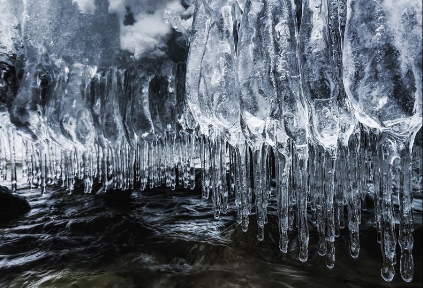 Tokyo International Photo Awards 2023: Capturing The Diverse Beauty Of Nature In 15 Winning Images