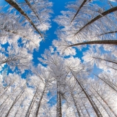 Tokyo International Photo Awards 2023: Capturing The Diverse Beauty Of Nature In 15 Winning Images