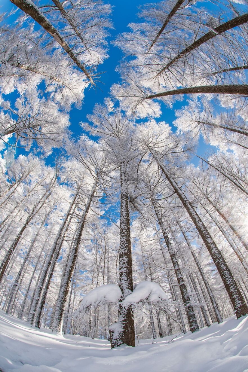 Tokyo International Photo Awards 2023: Capturing The Diverse Beauty Of Nature In 15 Winning Images