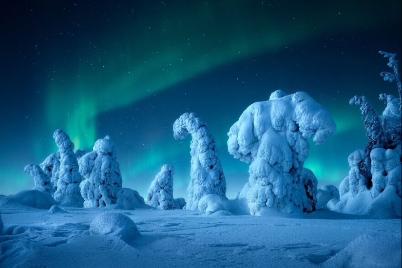 Tokyo International Photo Awards 2023: Capturing The Diverse Beauty Of Nature In 15 Winning Images