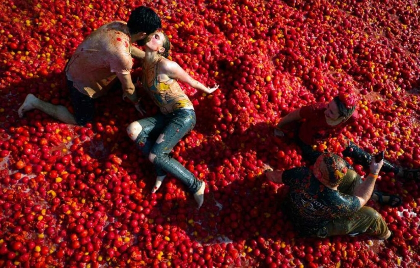 Tomato Battle or La Tomatina Festival