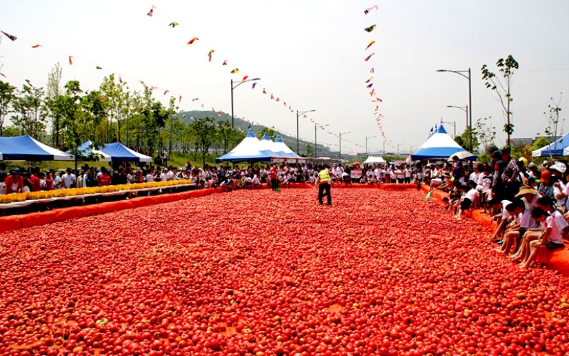 Tomato Battle or La Tomatina Festival