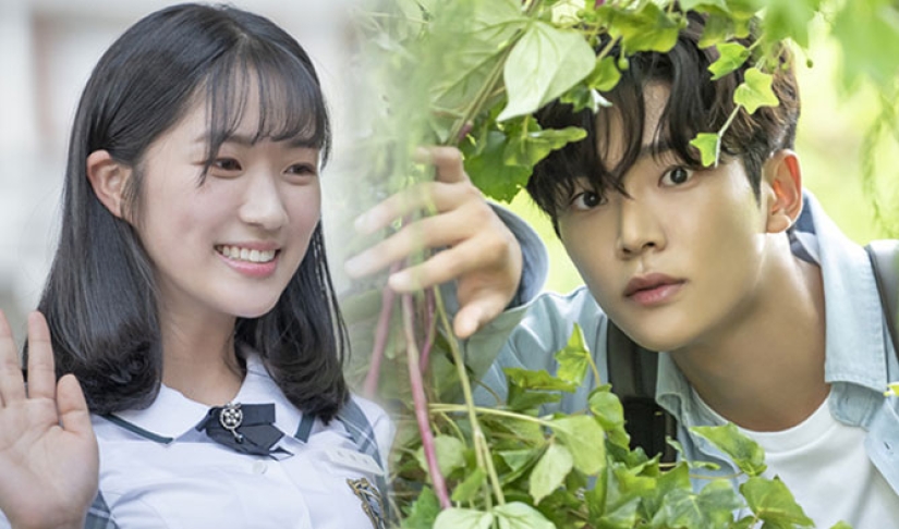 Top 5 binge-worthy high school K-Dramas for beginners