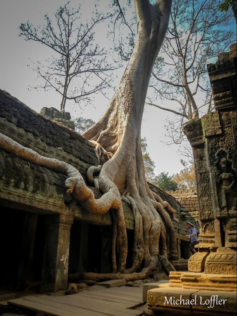 Travel as a cure for depression Travel as a cure for depression