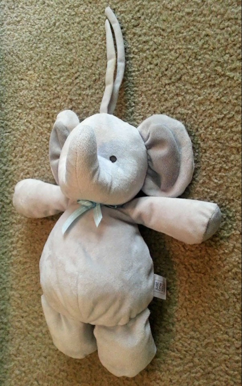 Un elefante de peluche perdido viaja por el mundo Un elefante de peluche perdido viaja por el mundo