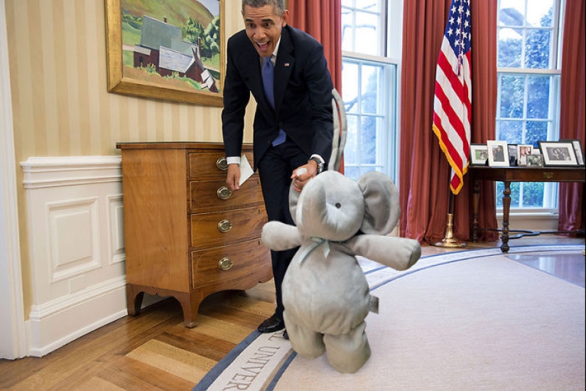 Un elefante de peluche perdido viaja por el mundo Un elefante de peluche perdido viaja por el mundo