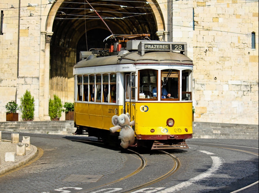 Un elefante de peluche perdido viaja por el mundo Un elefante de peluche perdido viaja por el mundo